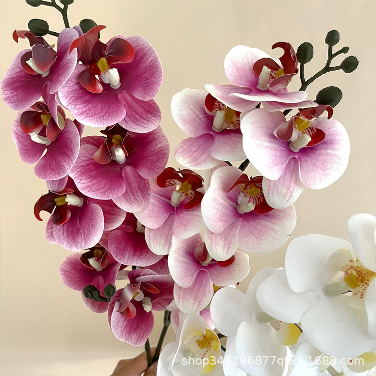 3D Printing Ai - 5 Buah 3D Film Cetak Phalaenopsis
